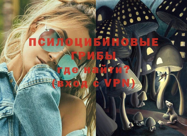 2c-b Заводоуковск