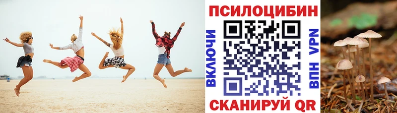 Псилоцибиновые грибы Cubensis  mega маркетплейс  Сланцы 