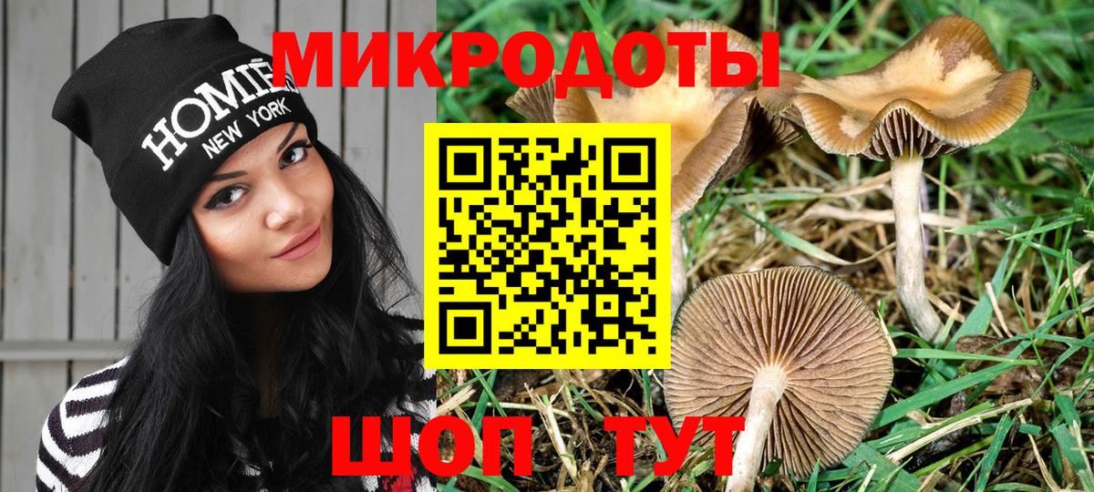 Псилоцибиновые грибы GOLDEN TEACHER Сланцы